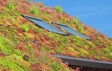 Crayke living roof systems